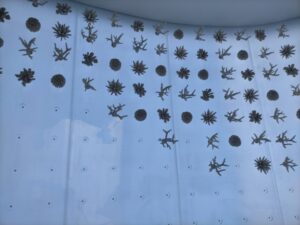 サウジアラビア　パビリオンサンゴ礁