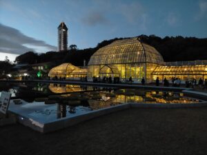 東山植物園ライトアップ
